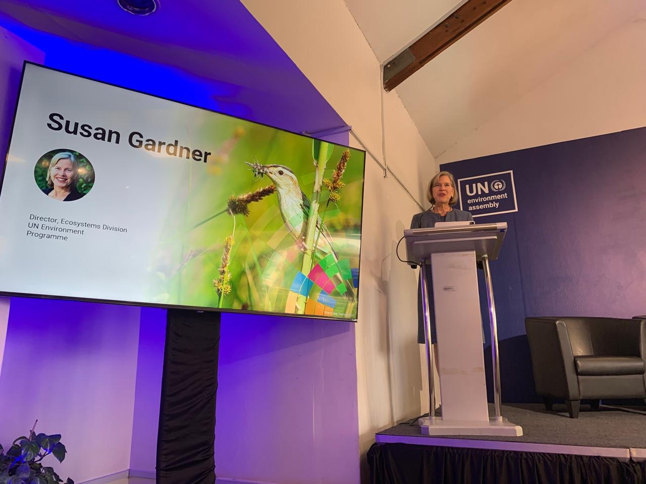 Susan Gardner, Director of the Ecosystem Division at UNEP, opened the event acknowledging that Indigenous Peoples have been stewards of ecosystems for generations, and that traditional knowledge is essential if we want to build land-use systems that can withstand a changing climate.