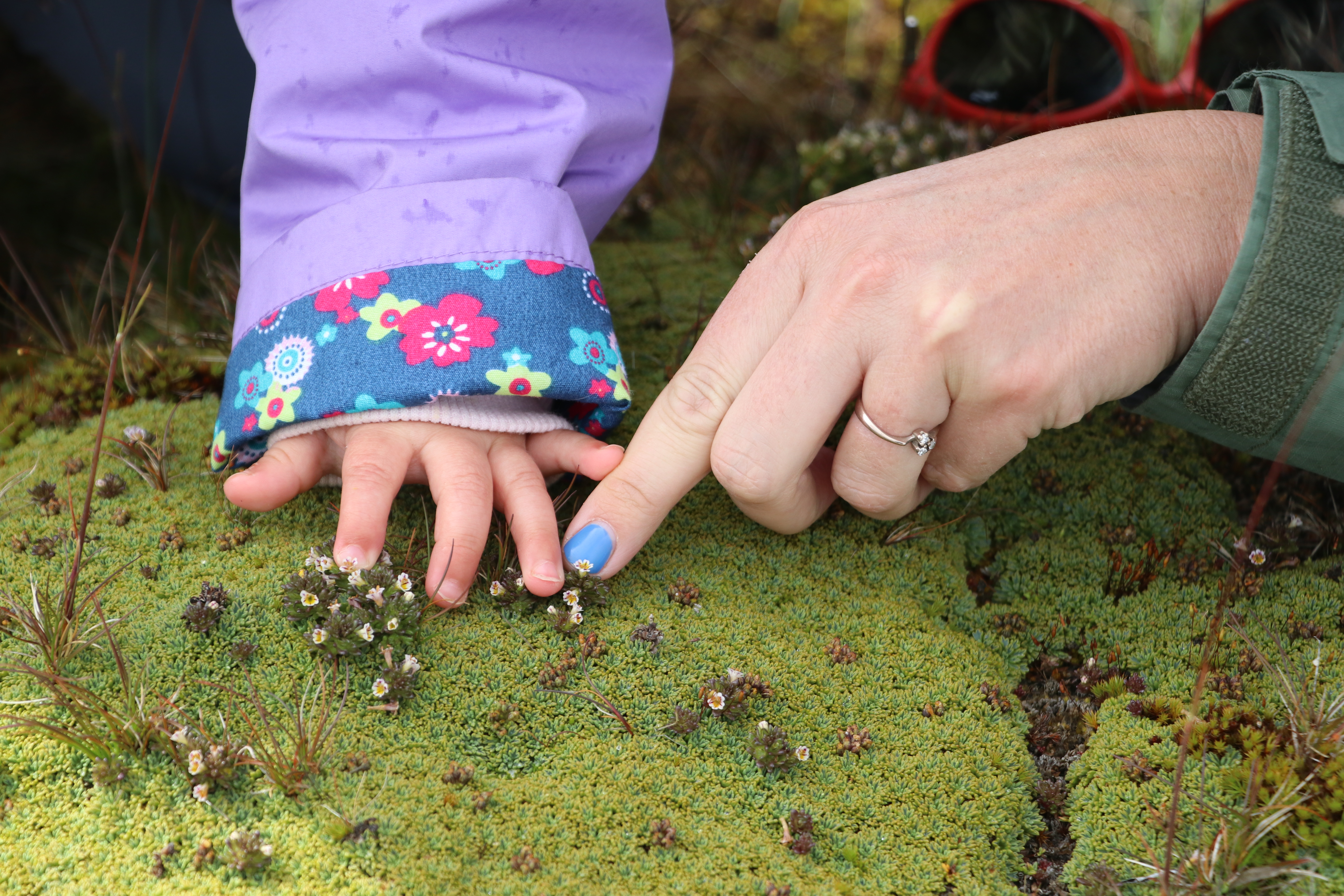 Hands touching the moss