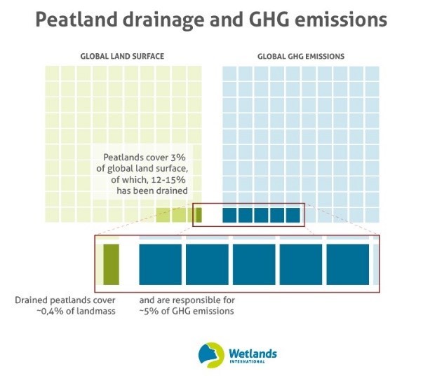 Peatland Drainage and GHG emissions