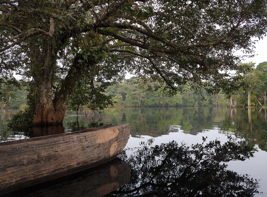 Congolese peatlands. Photo credit: Bart Crezee.