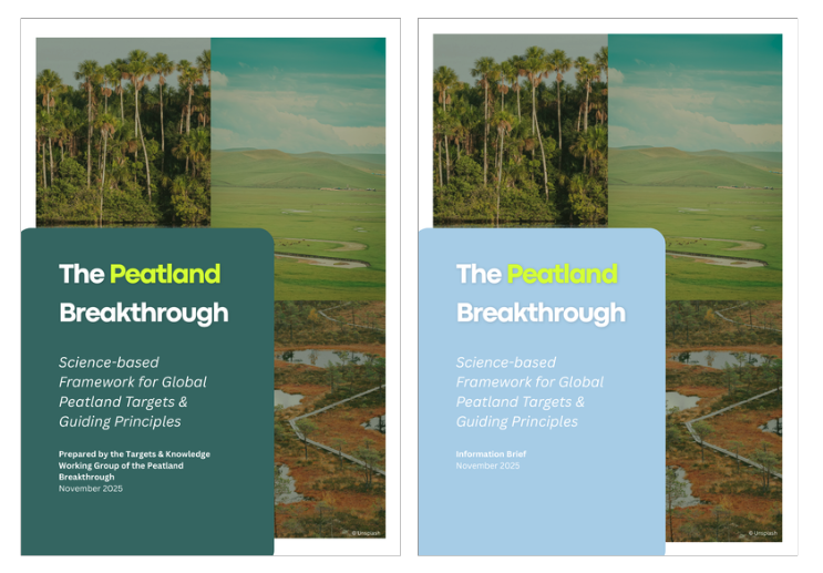The Peatland Breakthrough Science-based Framework for Global Peatland Targets and Guiding Principles