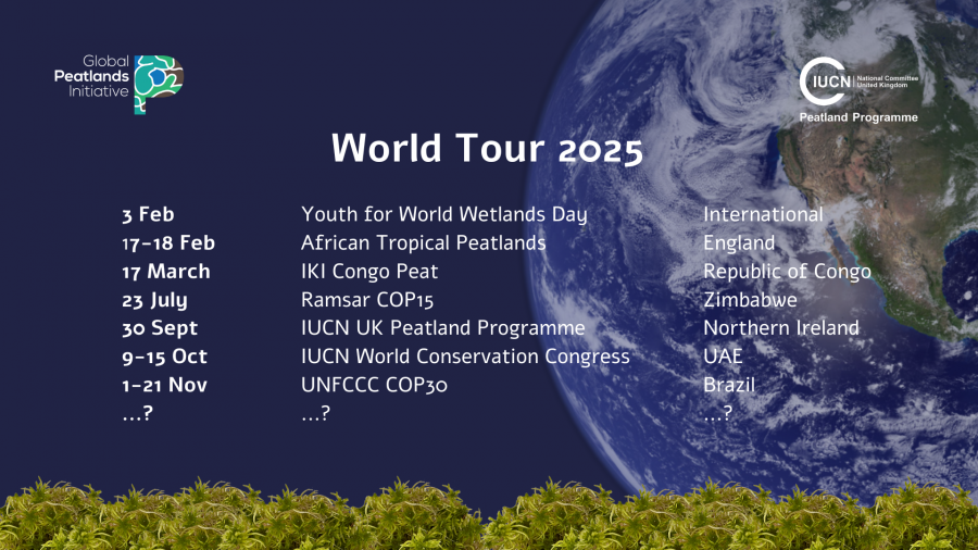 Virtual Peatlands Pavilion World Tour 2025