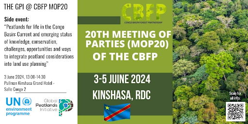 The GPI at Congo Basin Forest Partnership MoP20