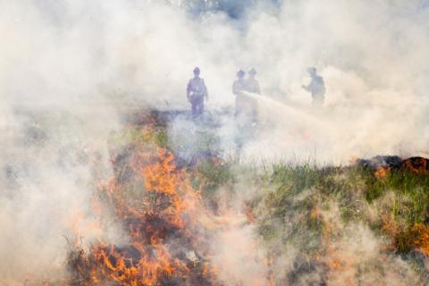 Fire-fighters managing Indonesian peat fires in 2015
