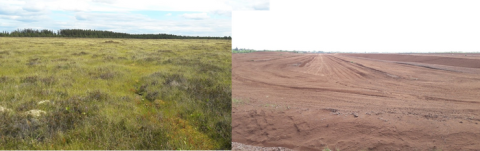 Only fragments of raised bog remain in the Figile, left, but these are in danger of drying out due to surrounding turf-cutting and drainage for other land-uses. Right: A dustbowl in the Figile, but not for long