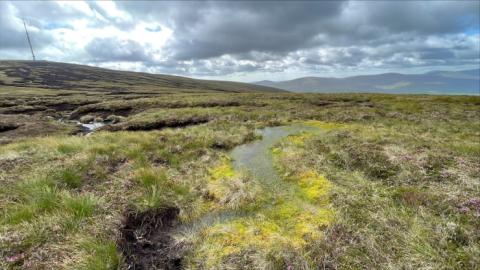 Small patches of relatively intact blanket bog remain in the upper catchment of the Dargle