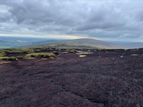 Peat everywhere heading downstream and upwind in the upper catchment of the Dargle, Co. Wicklow