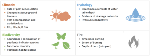 Figure 2: The Four Core Areas