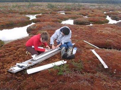 Researchers working on peatlands