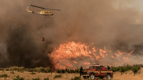 Wildfire disaster near Cape Town.