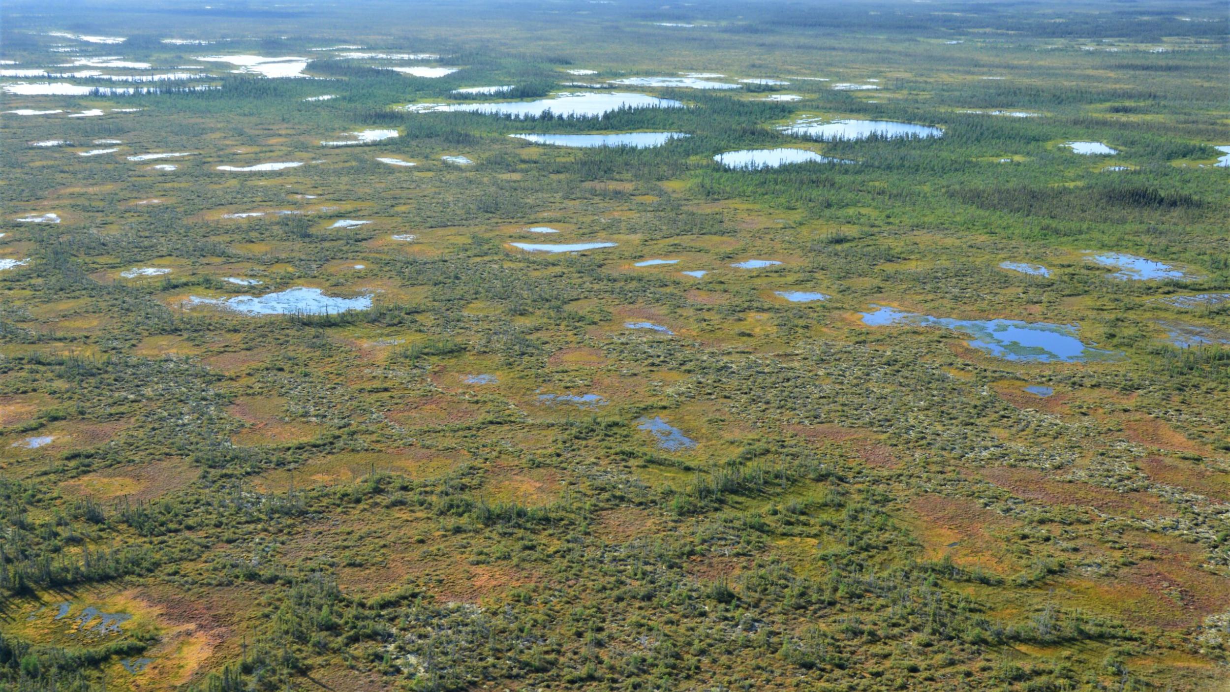 The Hudson Bay Lowland courtesy The Hudson Bay Lowland courtesy