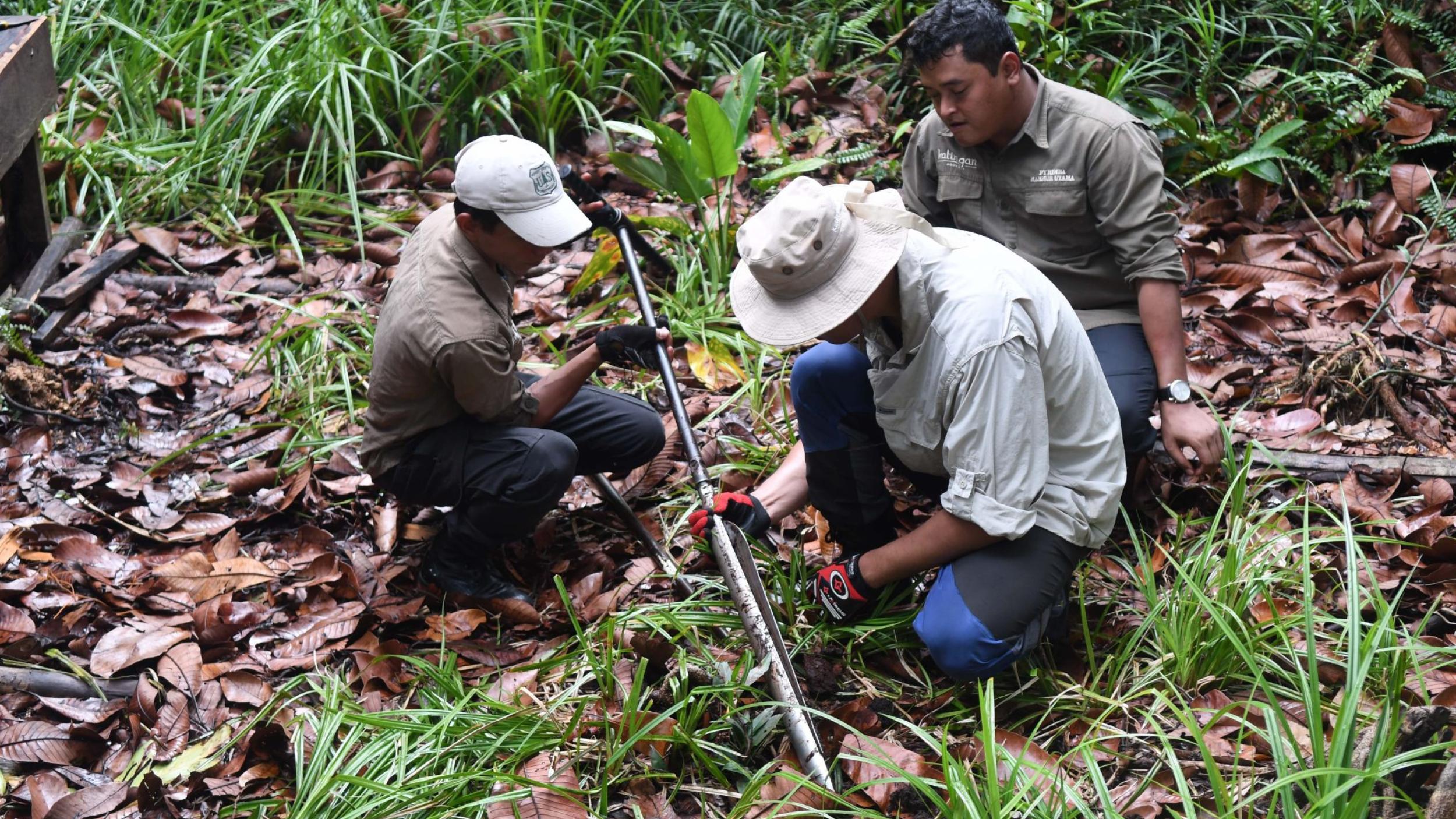 Peat coring Peat coring