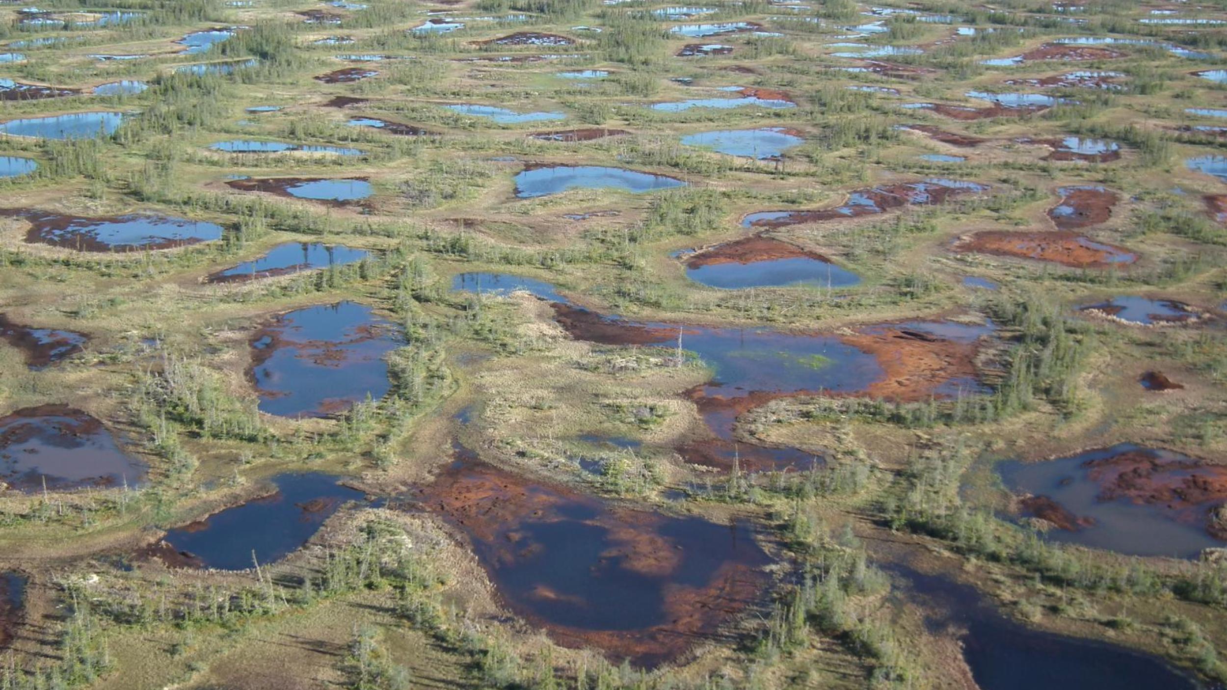 Canadian peatlands Canadian peatlands