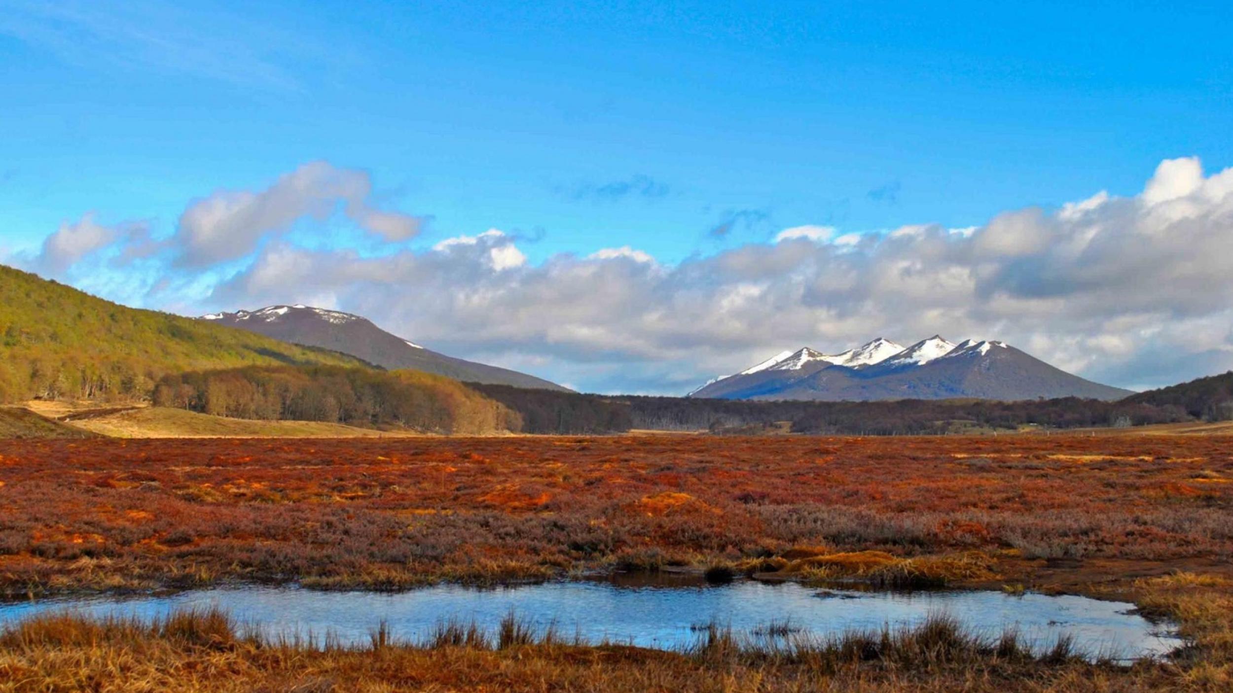 Chilean Peatlands