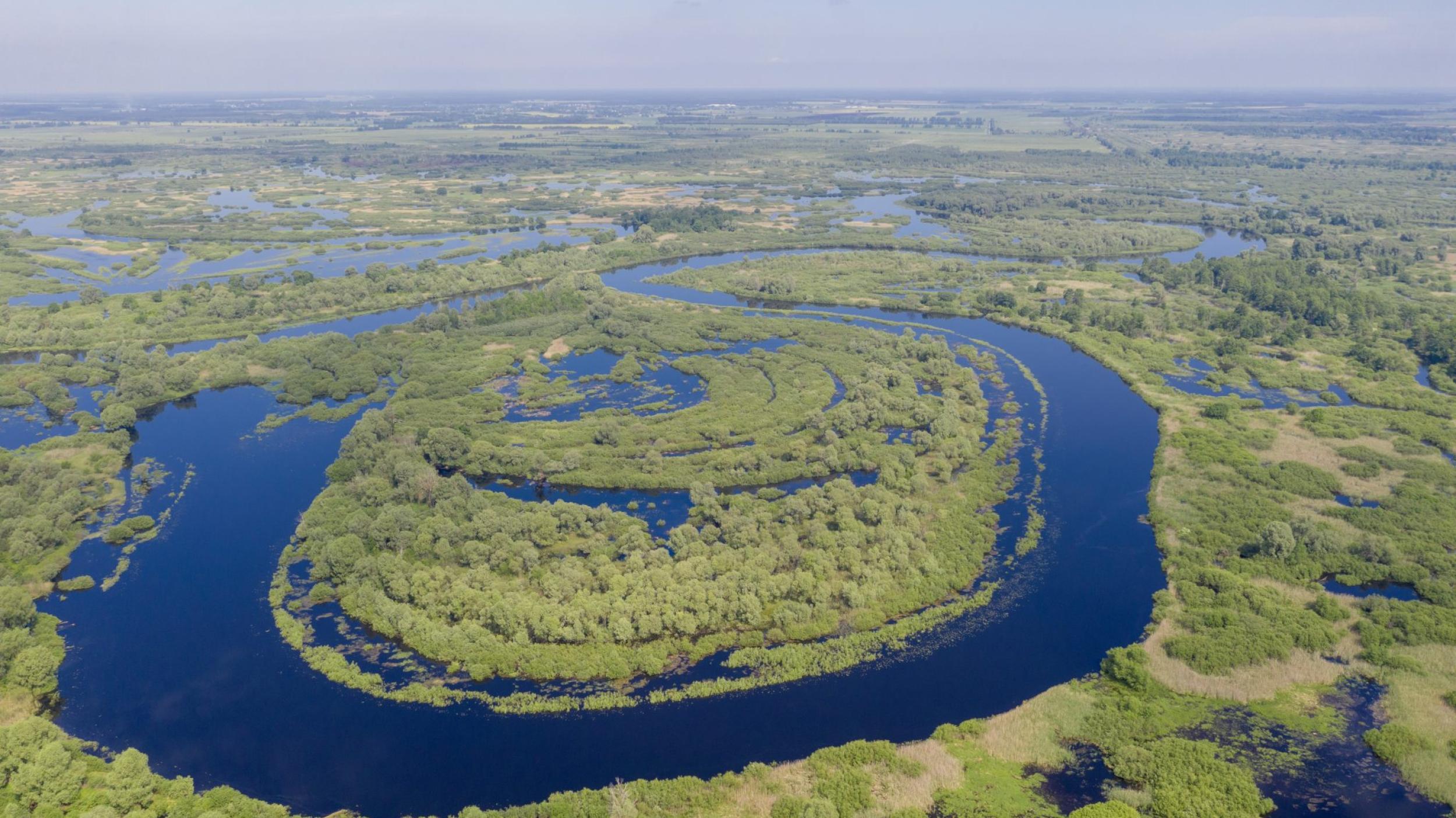 Pripyat river with its surrounding wetlands in Belarus