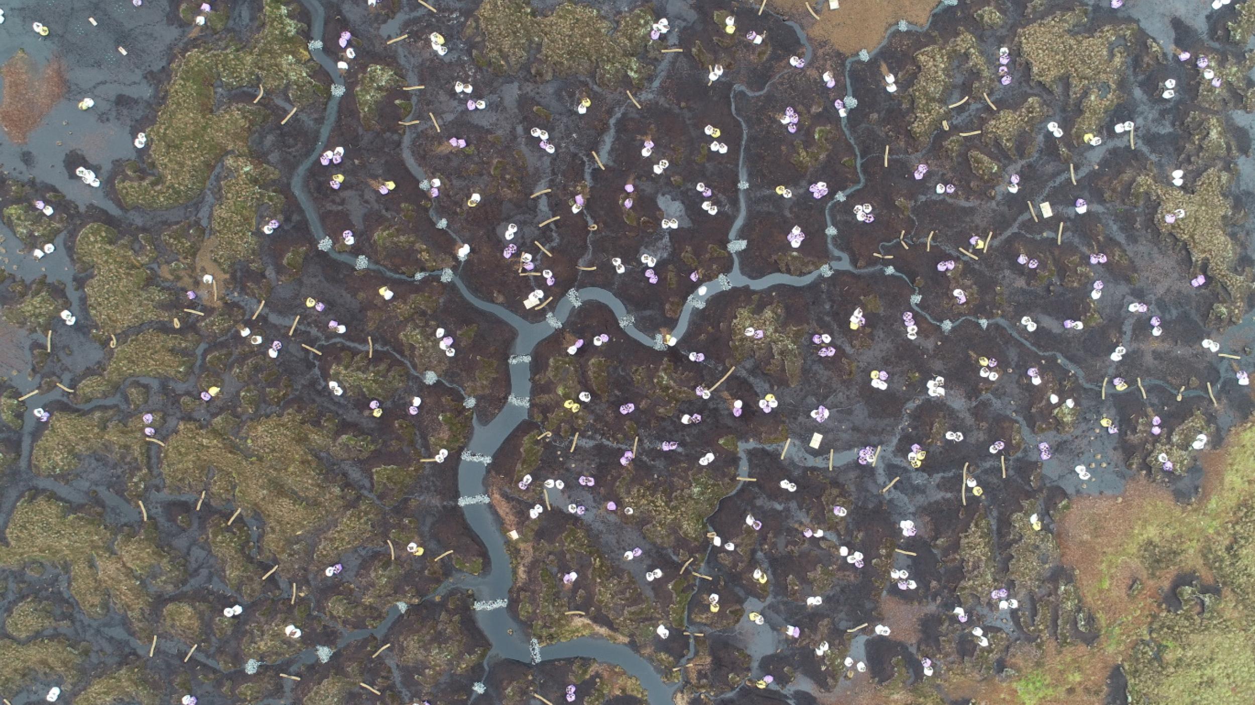 Resized Tynehead fell stone dams and bags of brash restoration cumbria LIFE-UAV November 2018