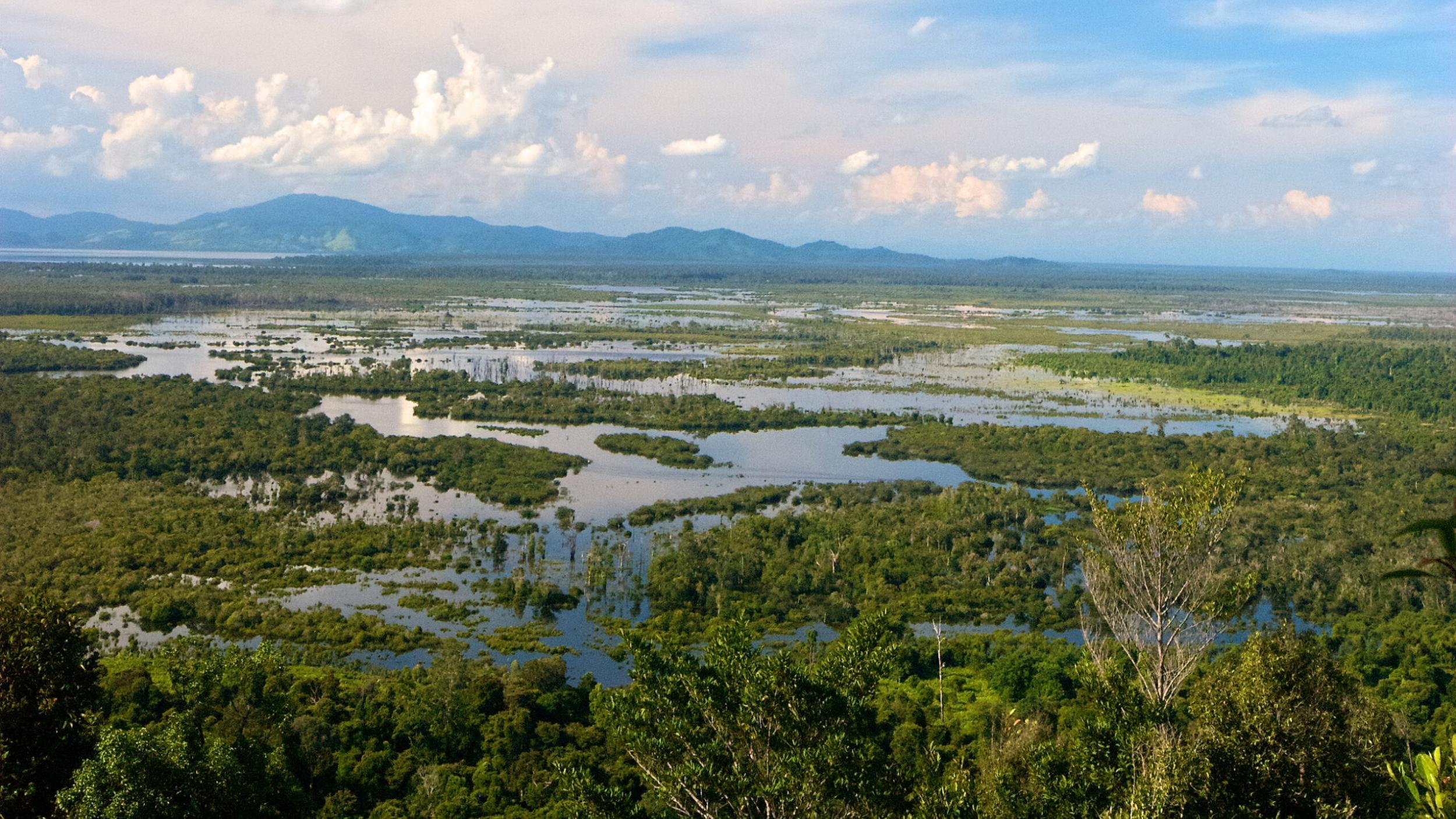 Danau Sentarum lake, Indonesia