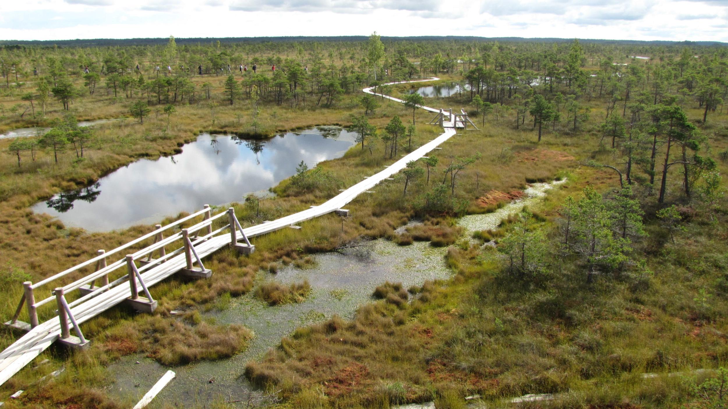 World Peatlands Day 2023