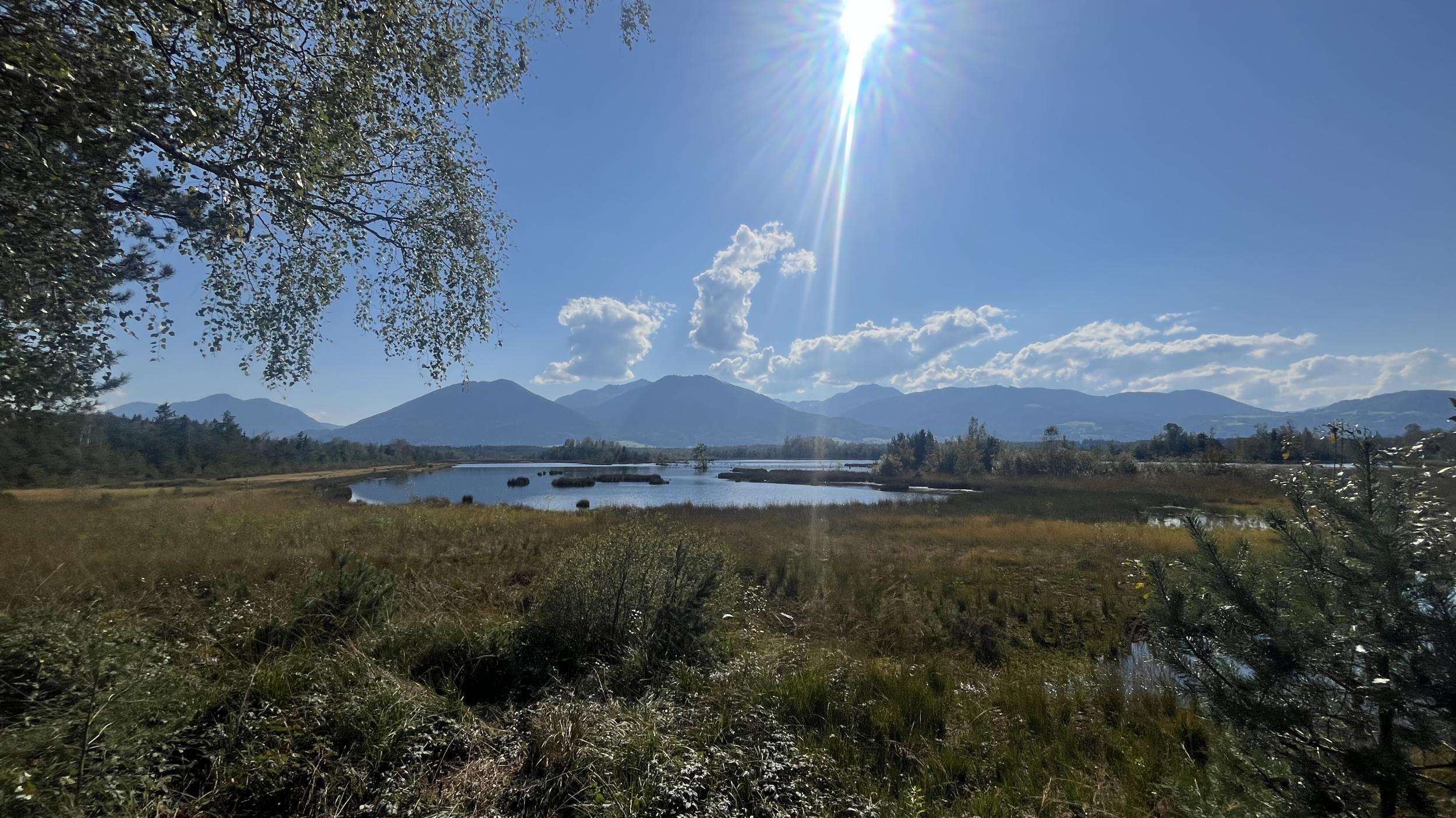 IPSC 2024 Bavaria