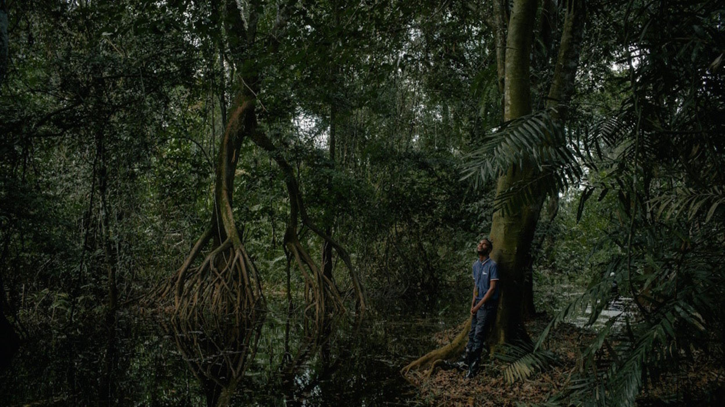 Ovide Emba, a scientist and biology student at the peatlands, bordering the Ruki River, close to the village Mpeka, Équateur Province, Democratic Republic of the Congo © Nanna Heitmann/Magnum Photos