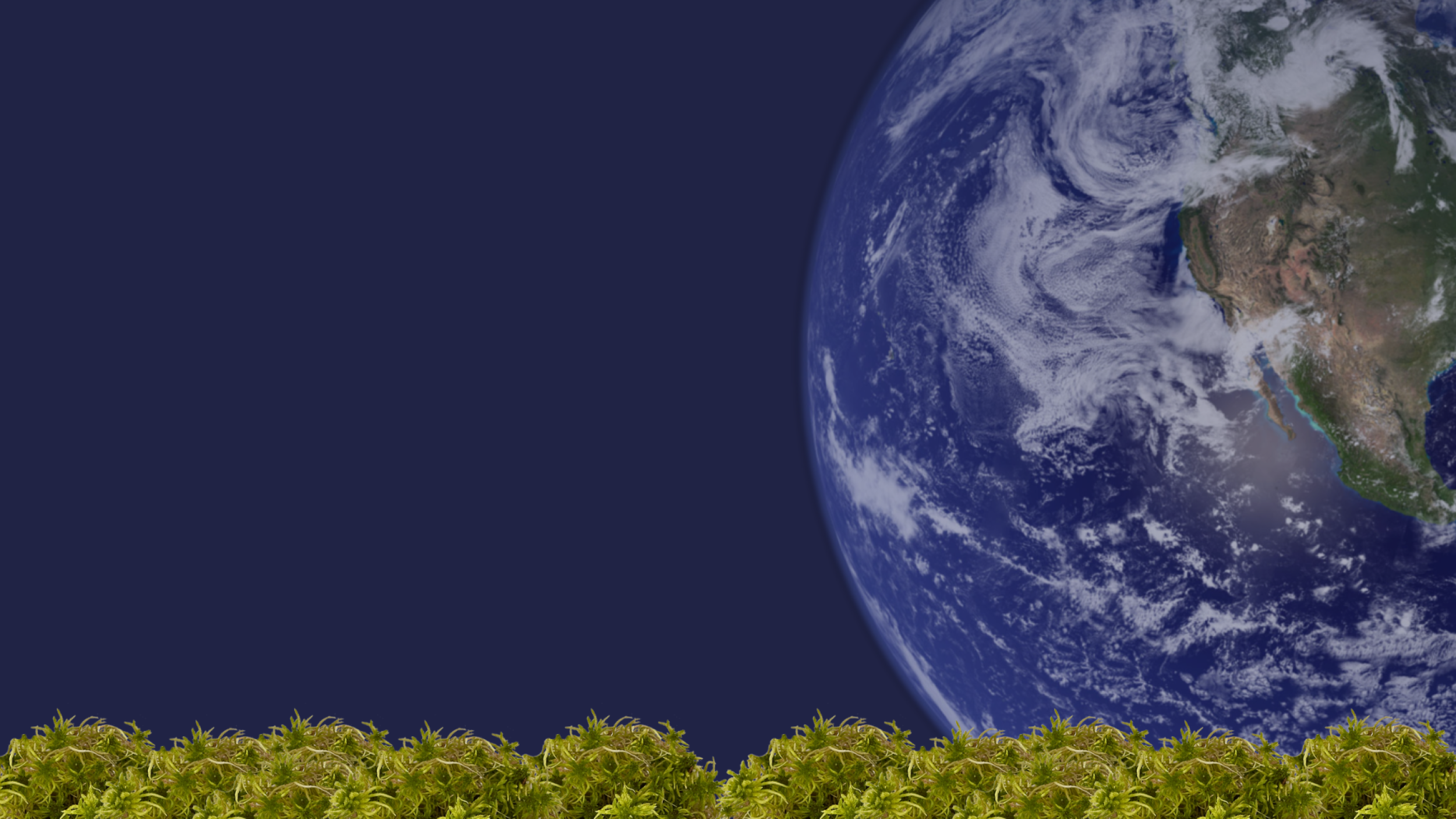 VPP background
