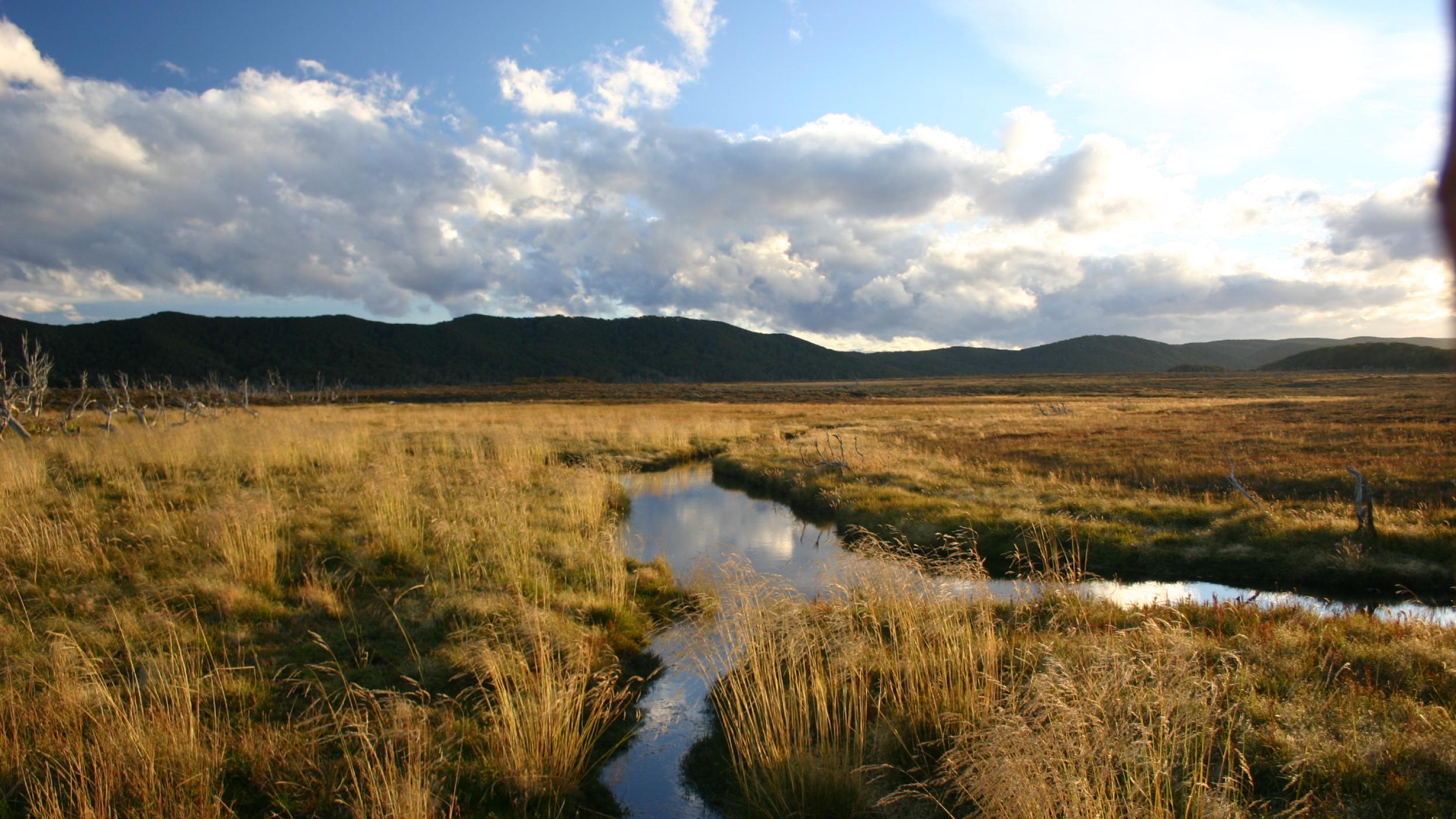 Argentina_Tierra Del Fuego_2007_Hans Joosten
