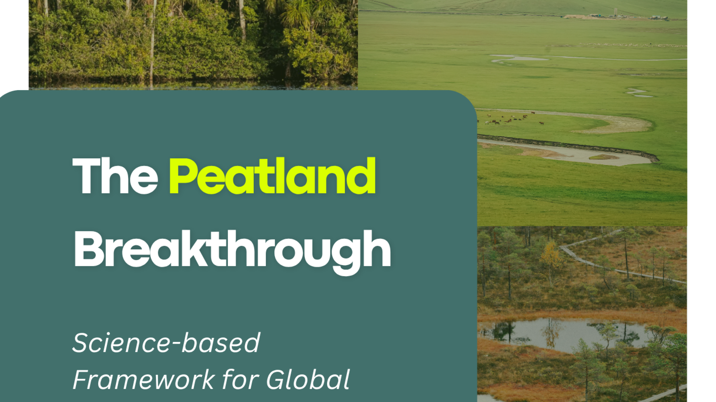 The Peatland Breakthrough │ Science-based Framework for Global Peatland Targets and Guiding Principles (Nov 2025)