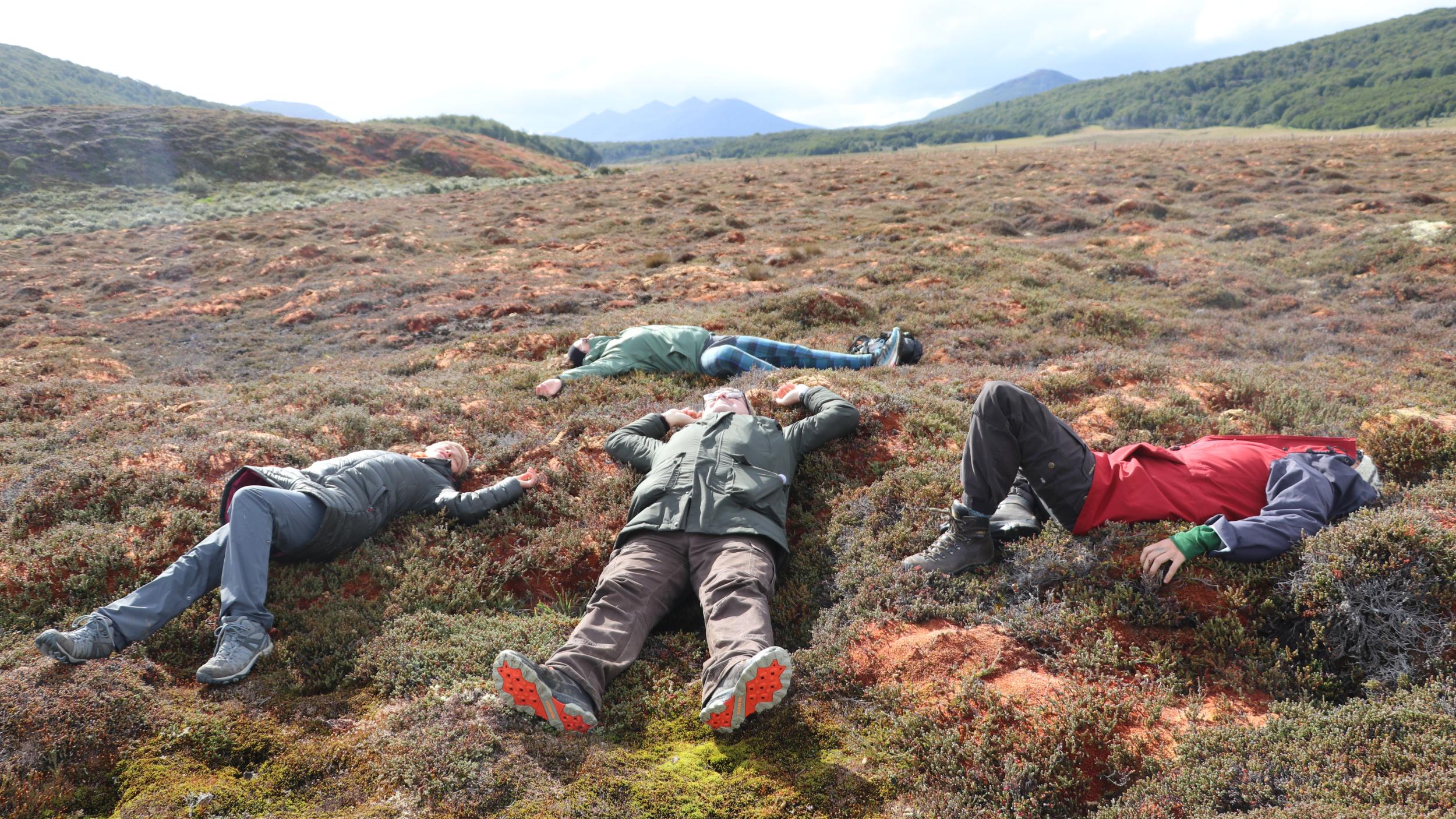 The OC laying in the peatland moss