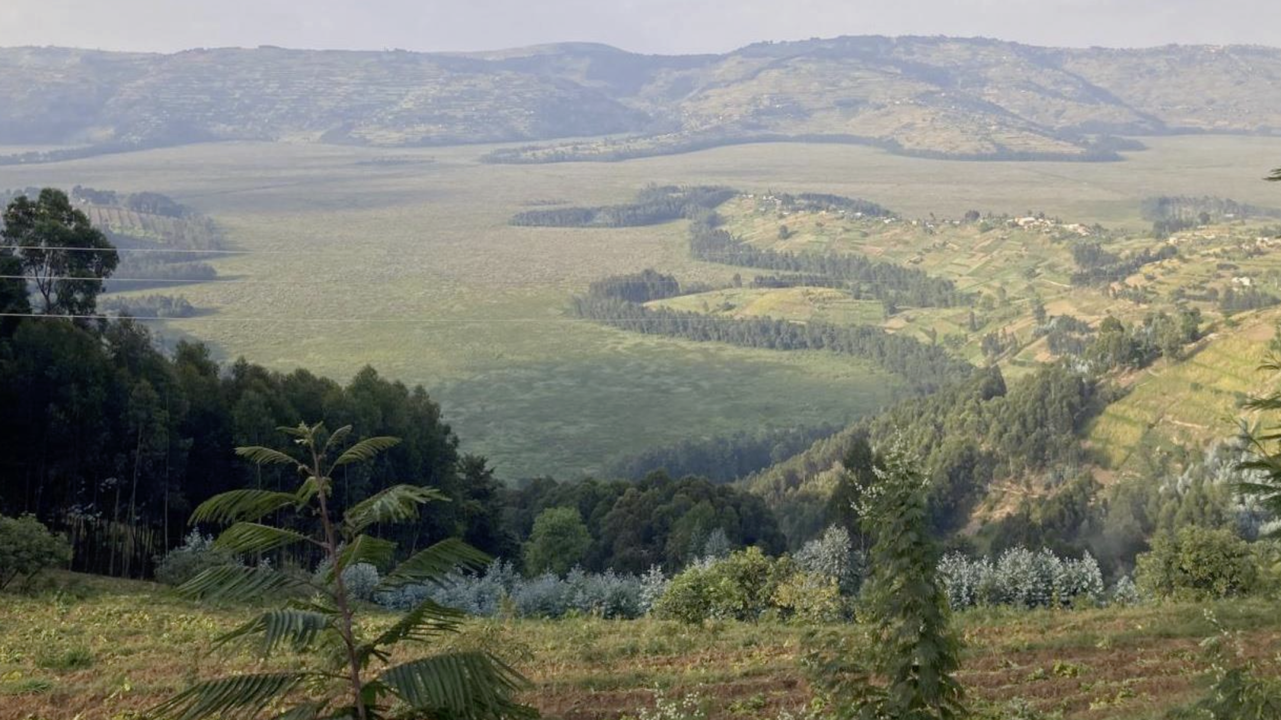 Overlooking Akanyaru peatland complex and Gisagara Peat-fired power plant in Rwanda from Burundi (credit: Samer Elshehawi)