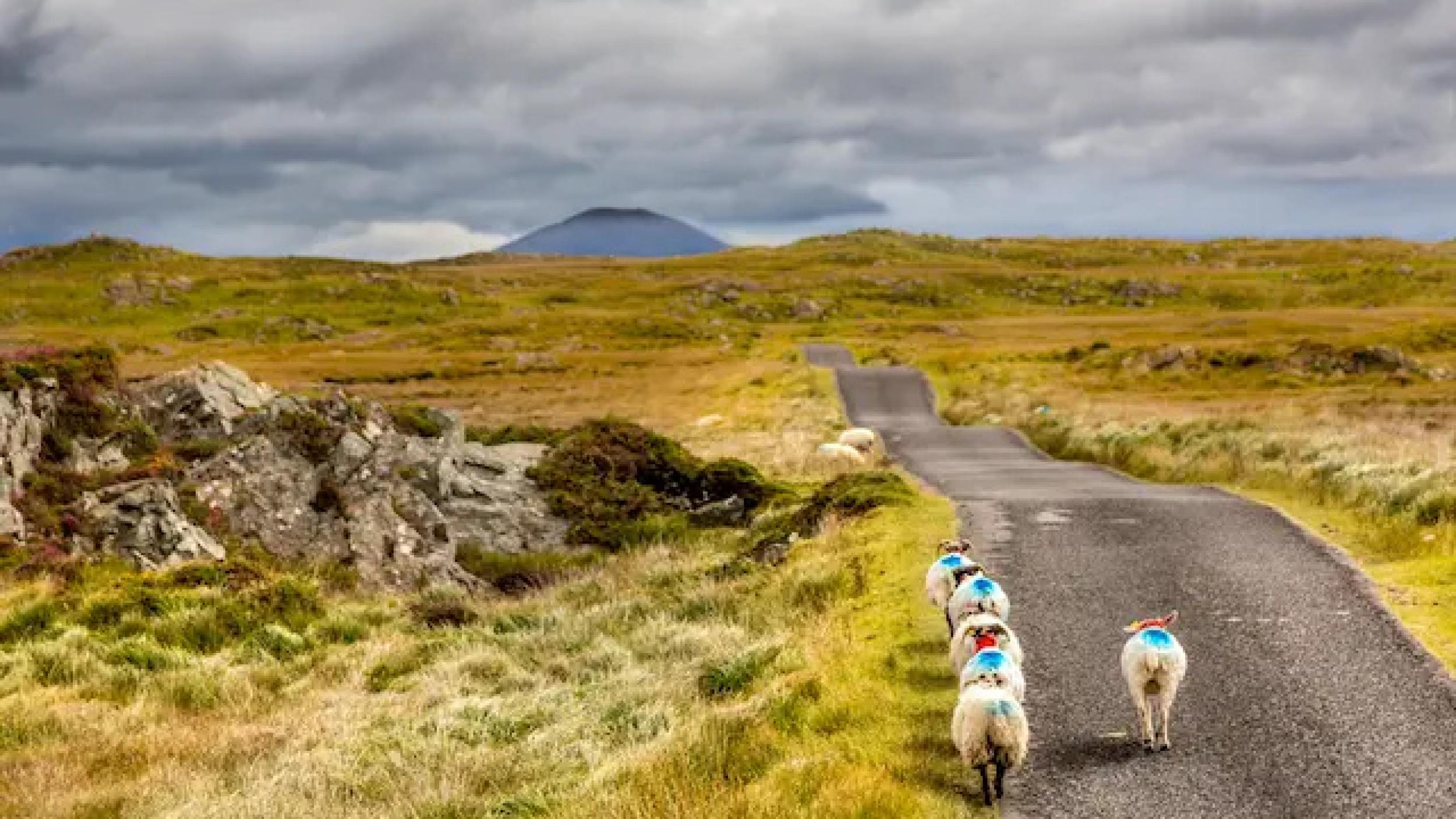 The Bog Road, Connemara, Ireland. © Bruno Biancardi
