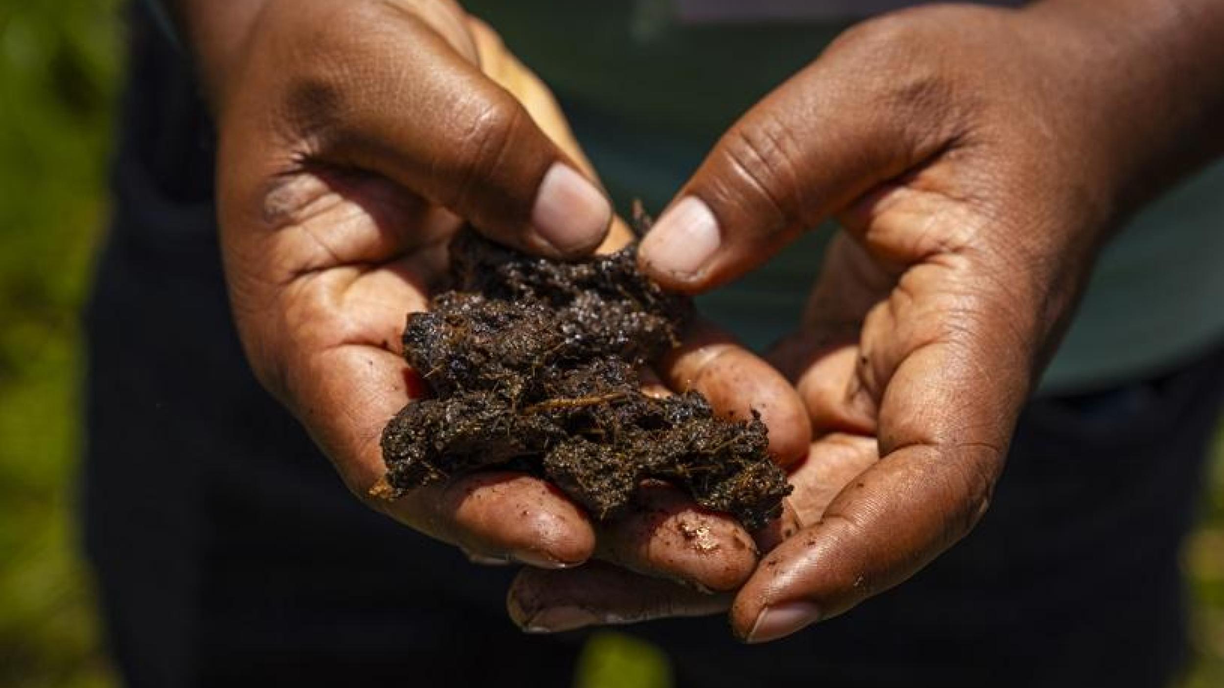 © GIZ / Clément Mugisha