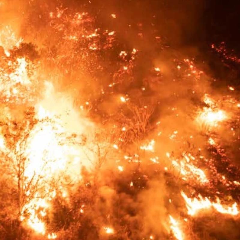 wildfires wildfires