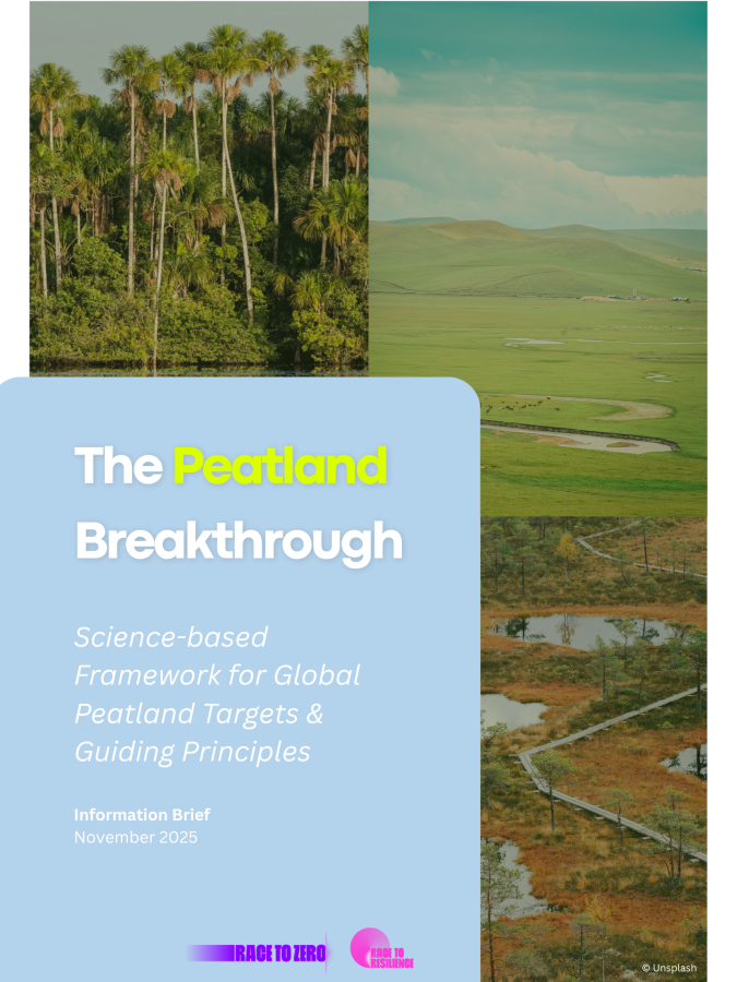 The Peatland Breakthrough │ Science-based Framework for Global Peatland Targets & Guiding Principles