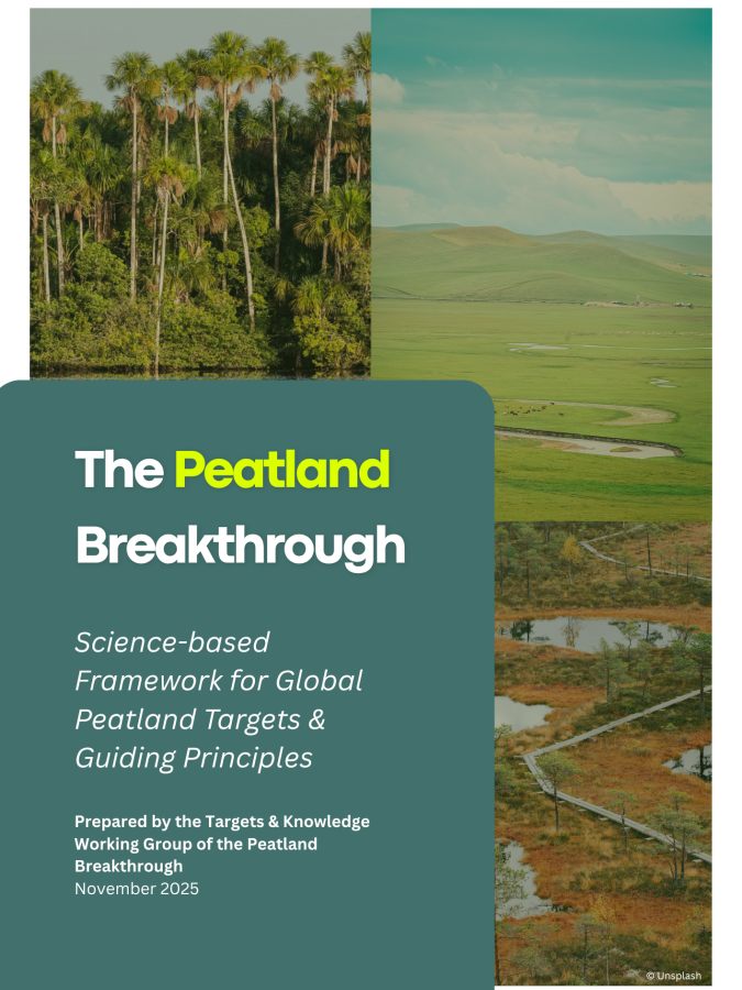 The Peatland Breakthrough │ Science-based Framework for Global Peatland Targets and Guiding Principles (Nov 2025)