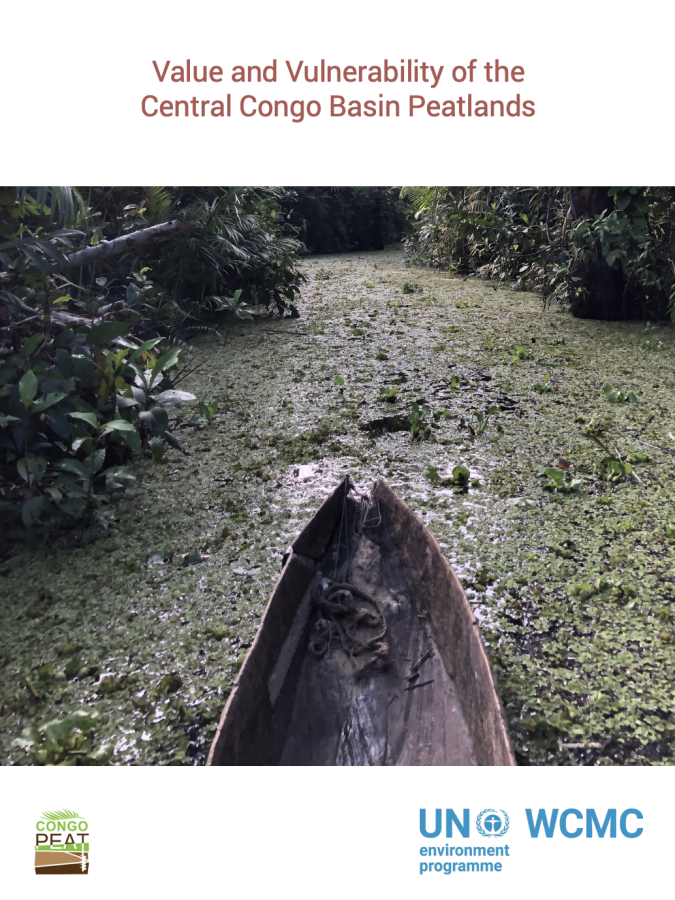 Value and Vulnerability of the Central Congo Basin Peatlands