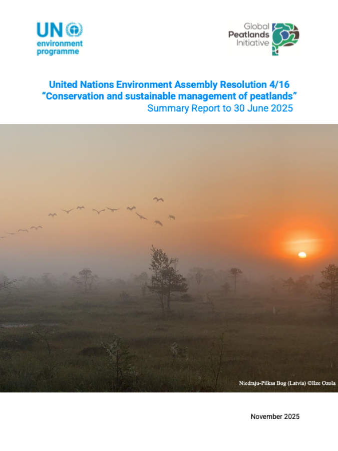 UNEA4-16 Peatlands Report