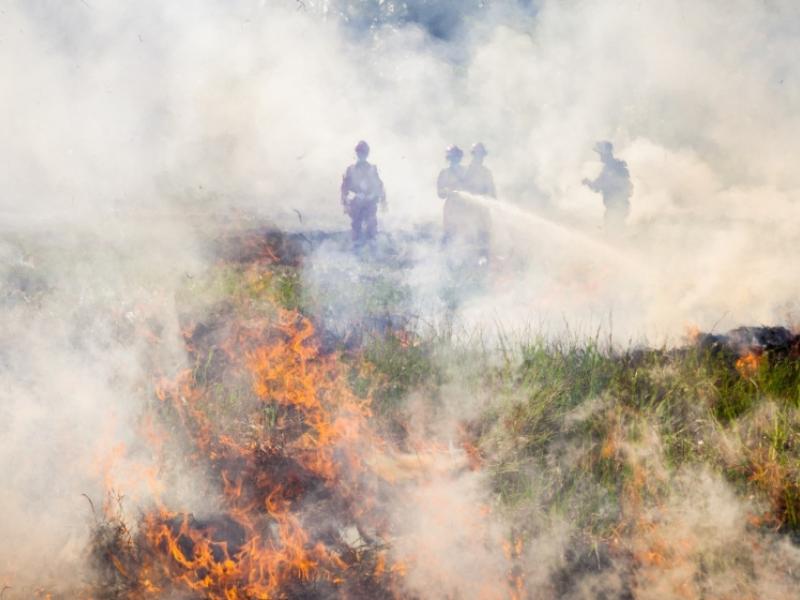 Fire-fighters managing Indonesian peat fires in 2015