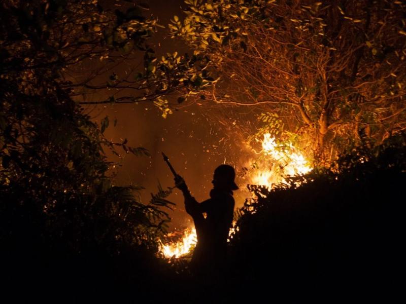 Firefighters fight fire at night. Outside Palangka Raya, Central Kalimantan.