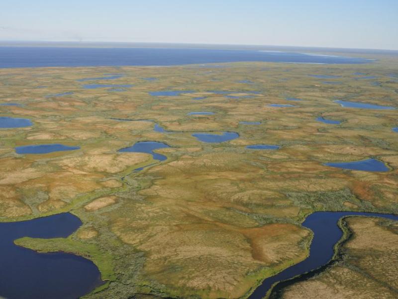 Permafrost peatlands with lake depressions, Cape Bolvansky, Russia.