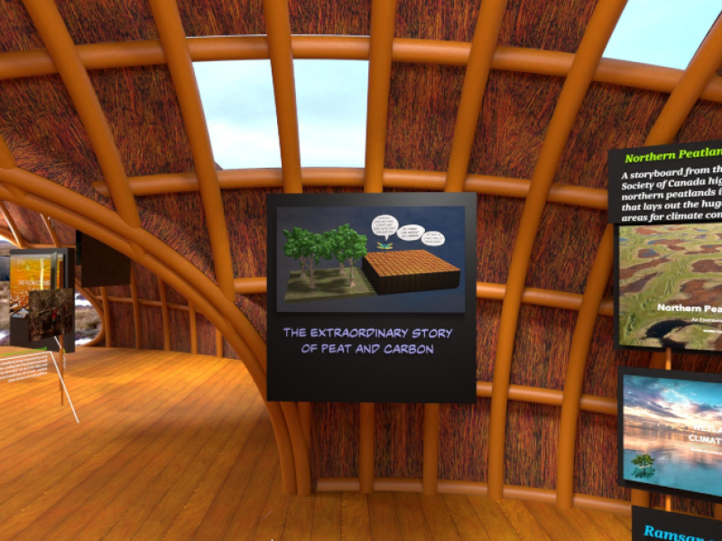 COP26 Virtual Peatland Pavilion