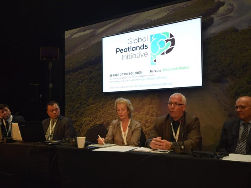 Panelists (from left to right) Ir. Tandya Tjahjana, N. Battulga, Jane Madgwick (moderator ), Frank Barsch, and Andrey Sirin.