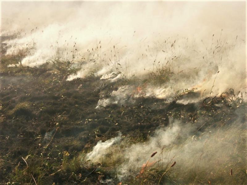 Peat fire in Poland