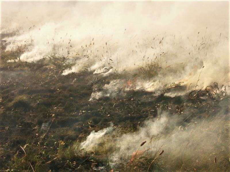 Peat fire in Poland Peat fire in Poland