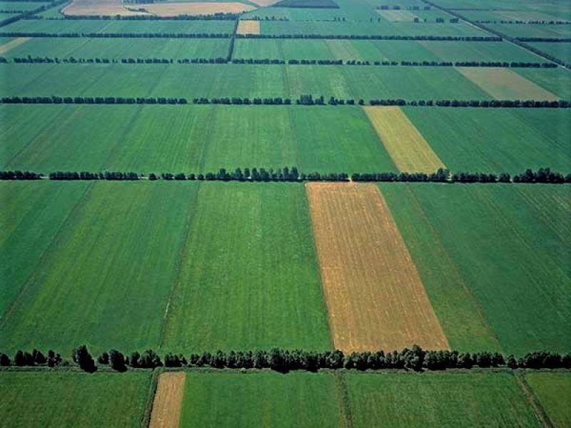 Drained peat fens in Poland