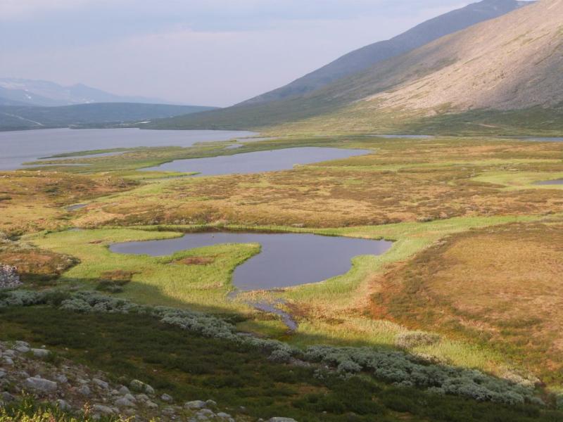 Flat palsas in Komi Republic, Russia. Flat palsas in Komi Republic, Russia.