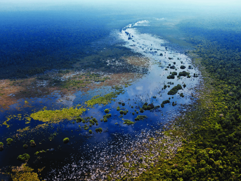 Asian Peatlands
