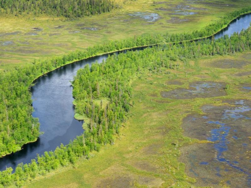 European peatlands