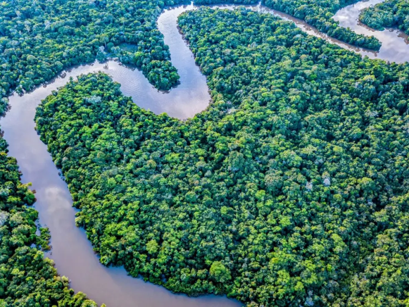Global-Peatlands