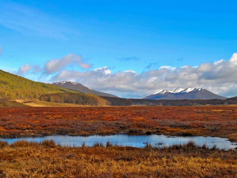 Latin America and the Caribbean Peatlands