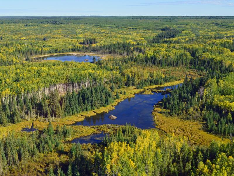 North America Peatlands